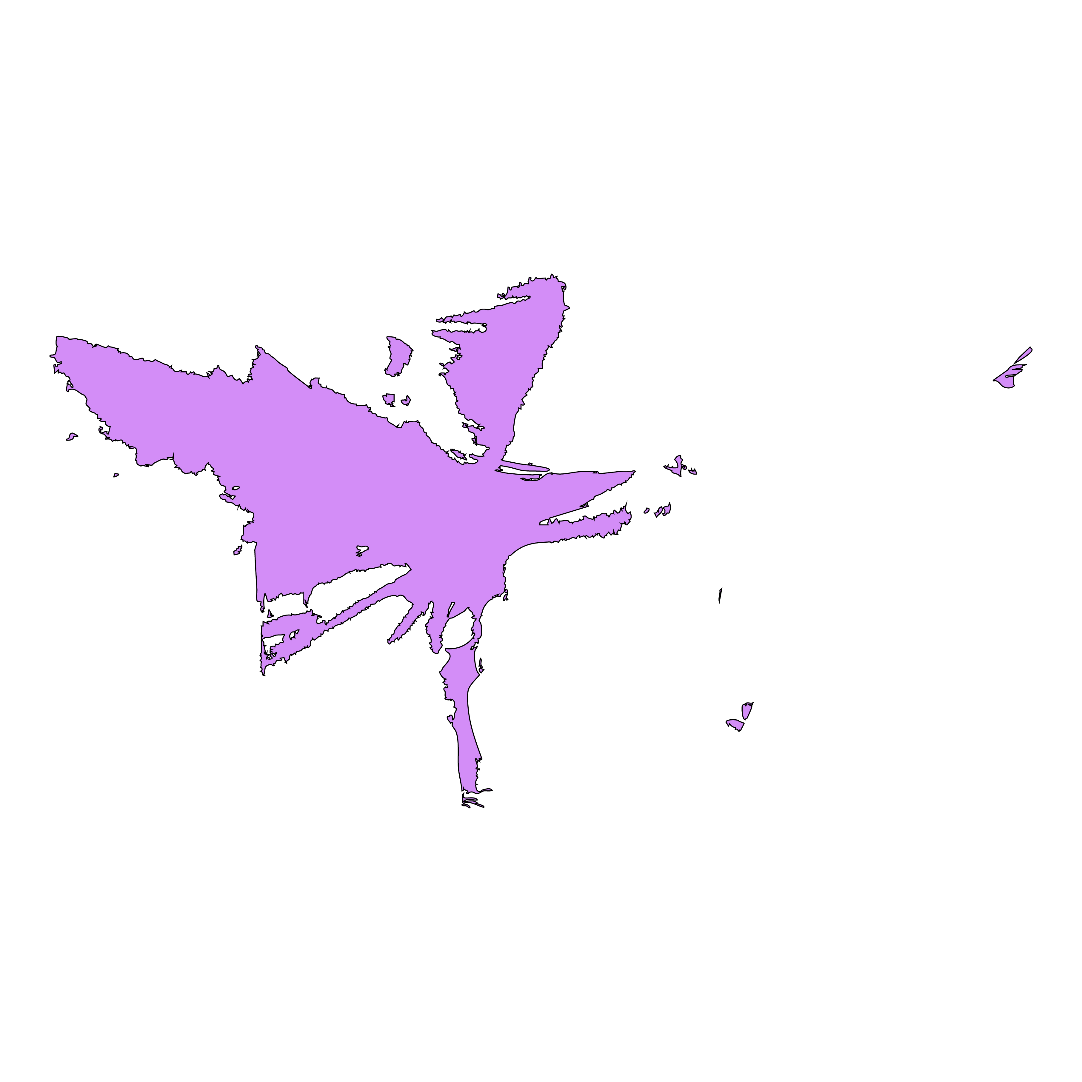 Dekorativní element